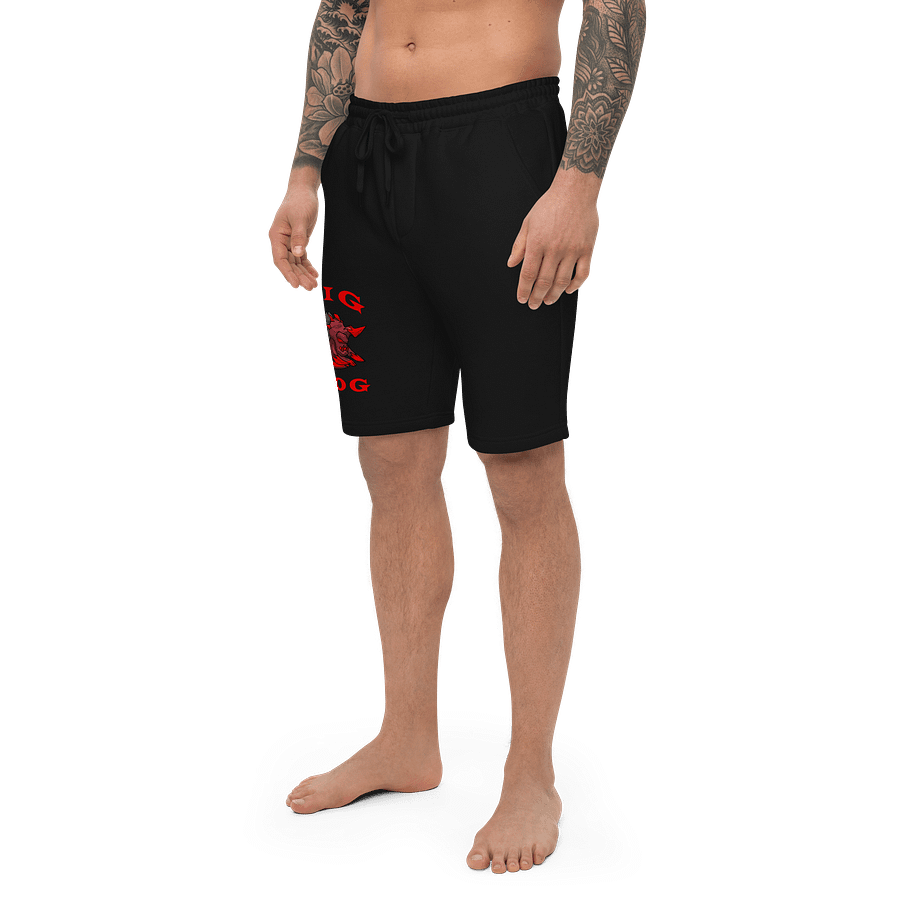 BIG DOG SHORTS product image (4)