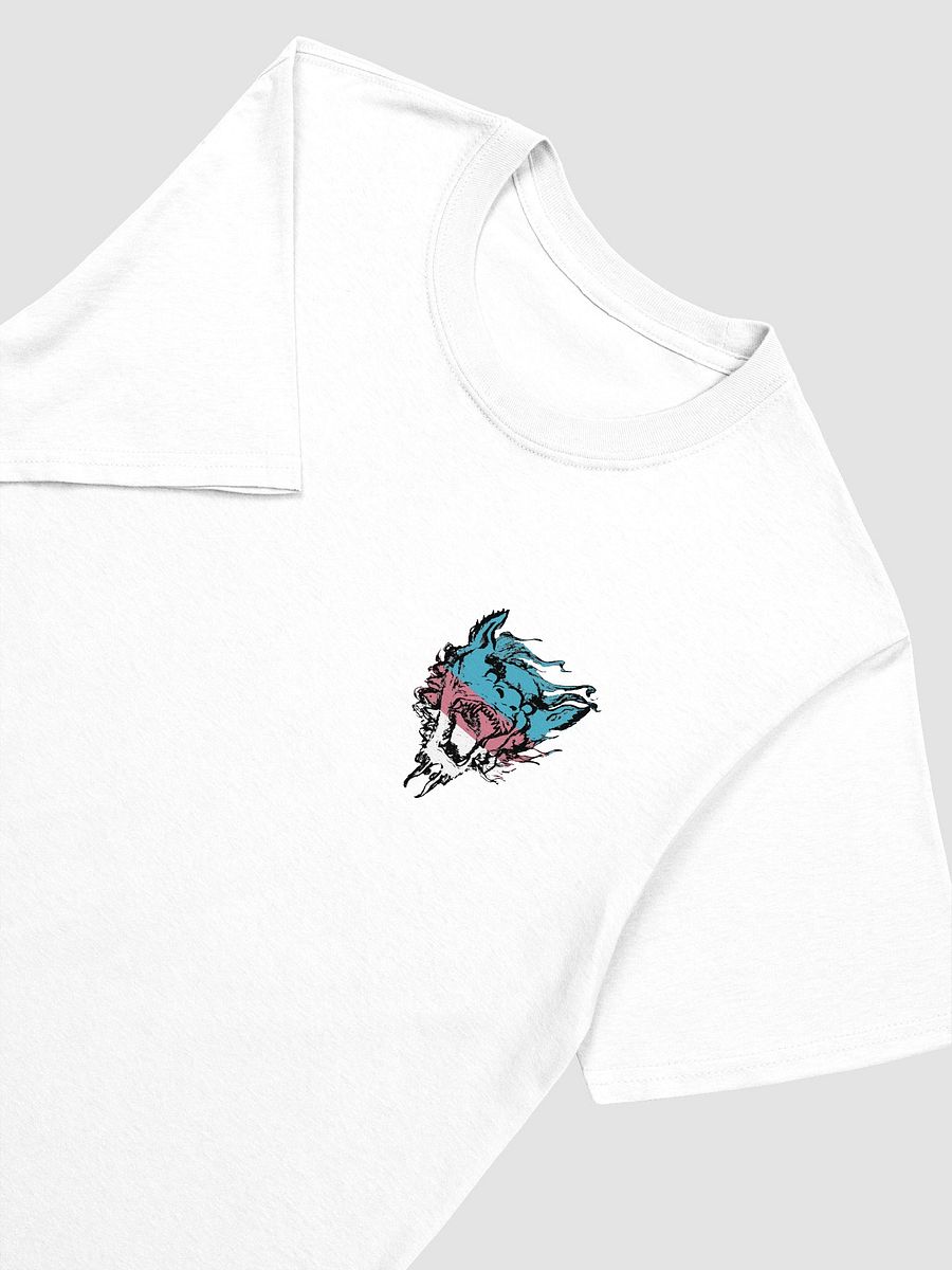 S.E.Y.T. Flag 2 shirt product image (3)