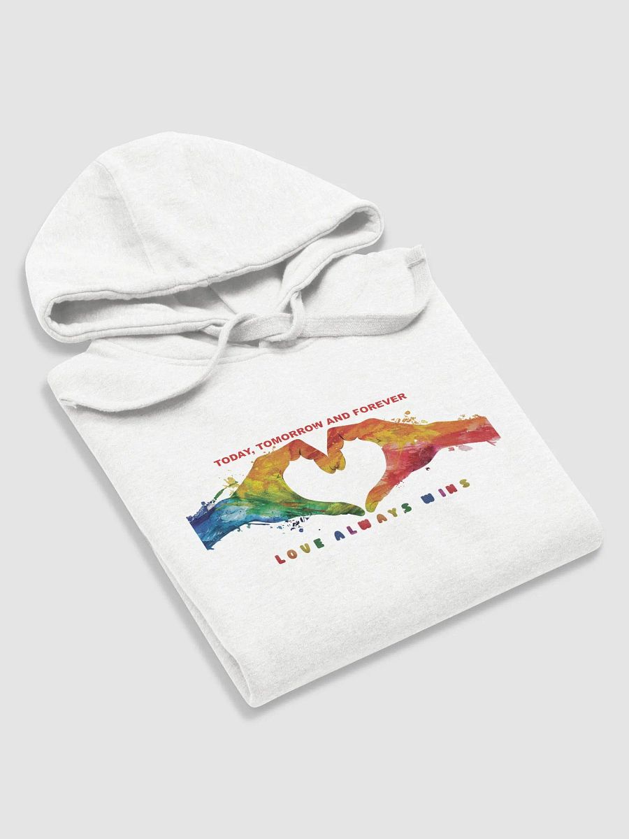 Love Always Wins Hoodie product image (55)