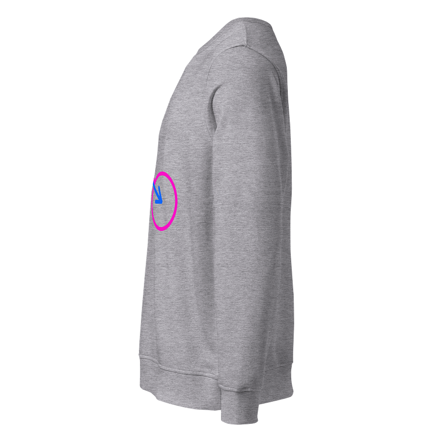 Two Genders Only United Organic Sweatshirt product image (3)