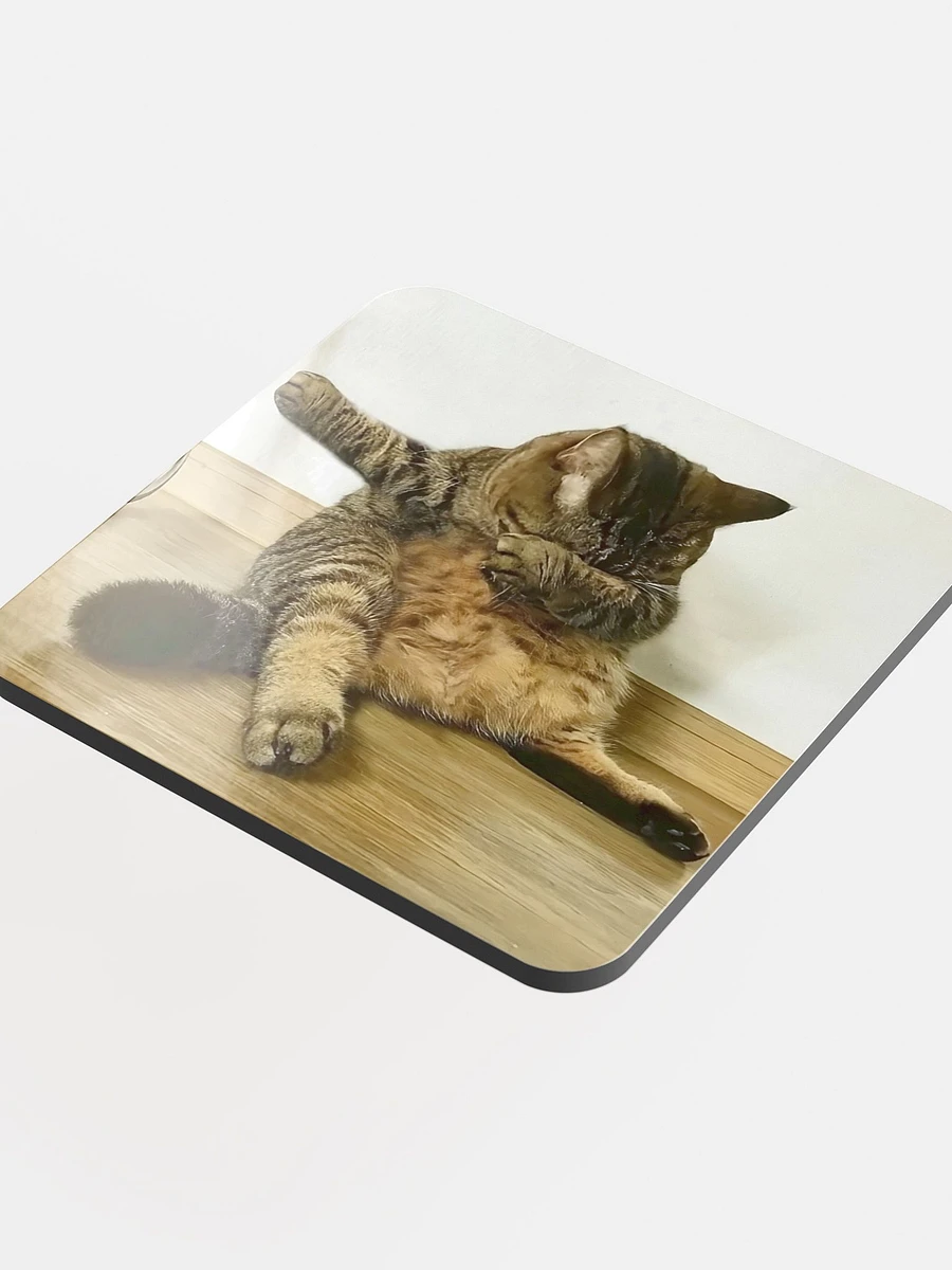 Glossed Cork Coaster: Meme Cats product image (4)