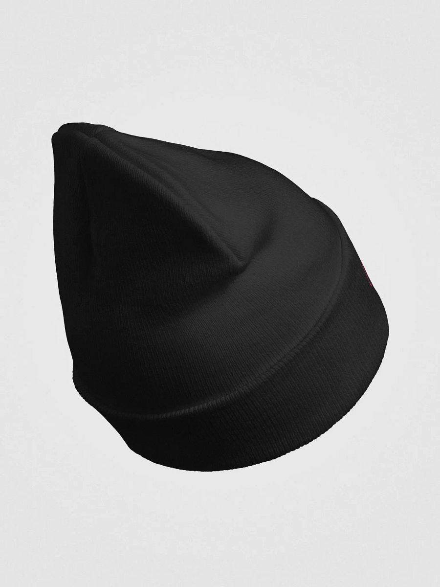 Bit By Bit Media Retro Color Scheme Beanie product image (5)