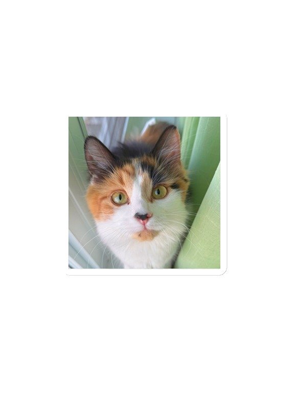 Stinking Cute Magnet product image (3)