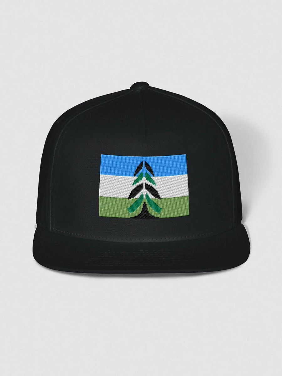 Pixel Chevron Cascadia Snapback Cap product image (2)