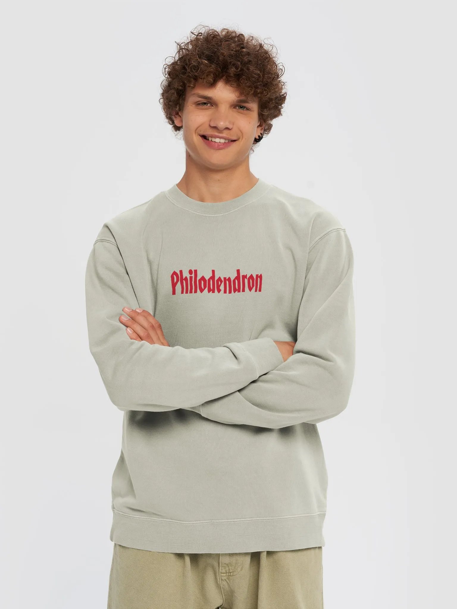 ⚡️ PHILODENDRON WORLD TOUR ⚡️ unisex midweight pigment dyed sweatshirt product image (3)