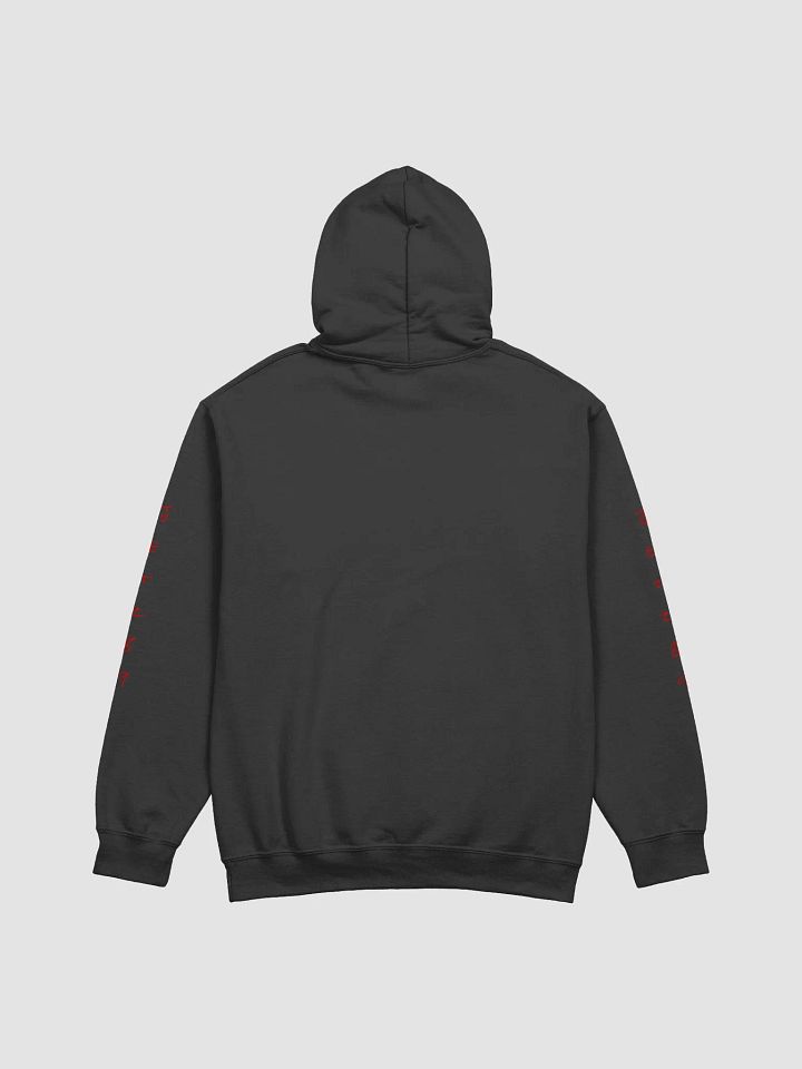 Jetz Pride Hoodie product image (20)