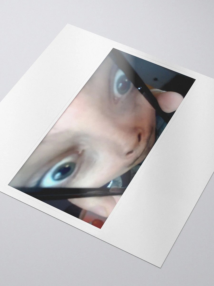 Dumpster Baby Sticker product image (3)