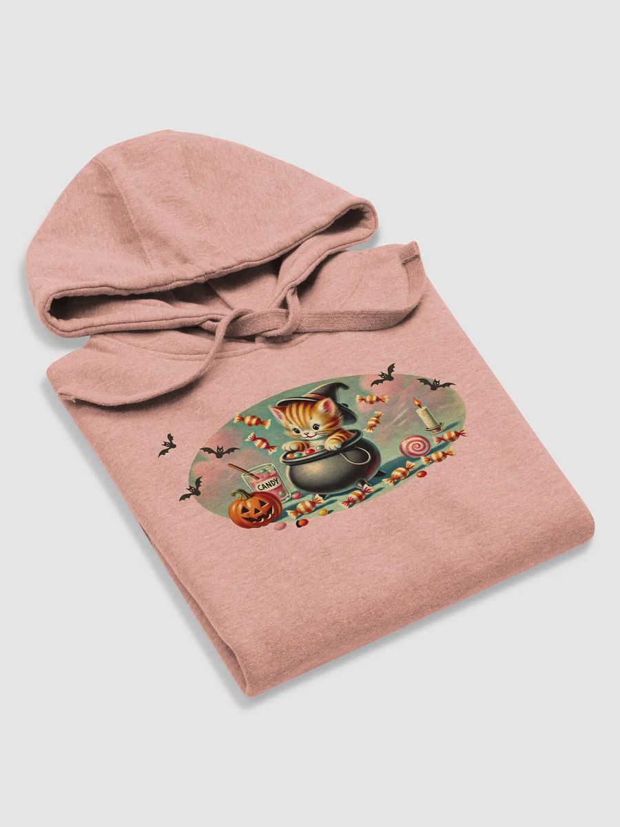 Halloween Cauldron Kitten Premium Unisex Hoodie product image (5)