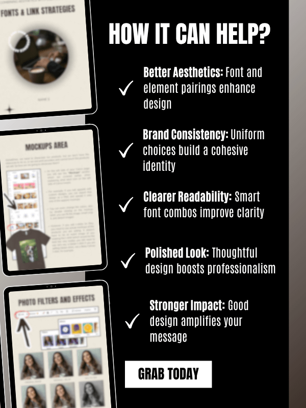 MRR/PLR Crash Course for Canva product image (5)