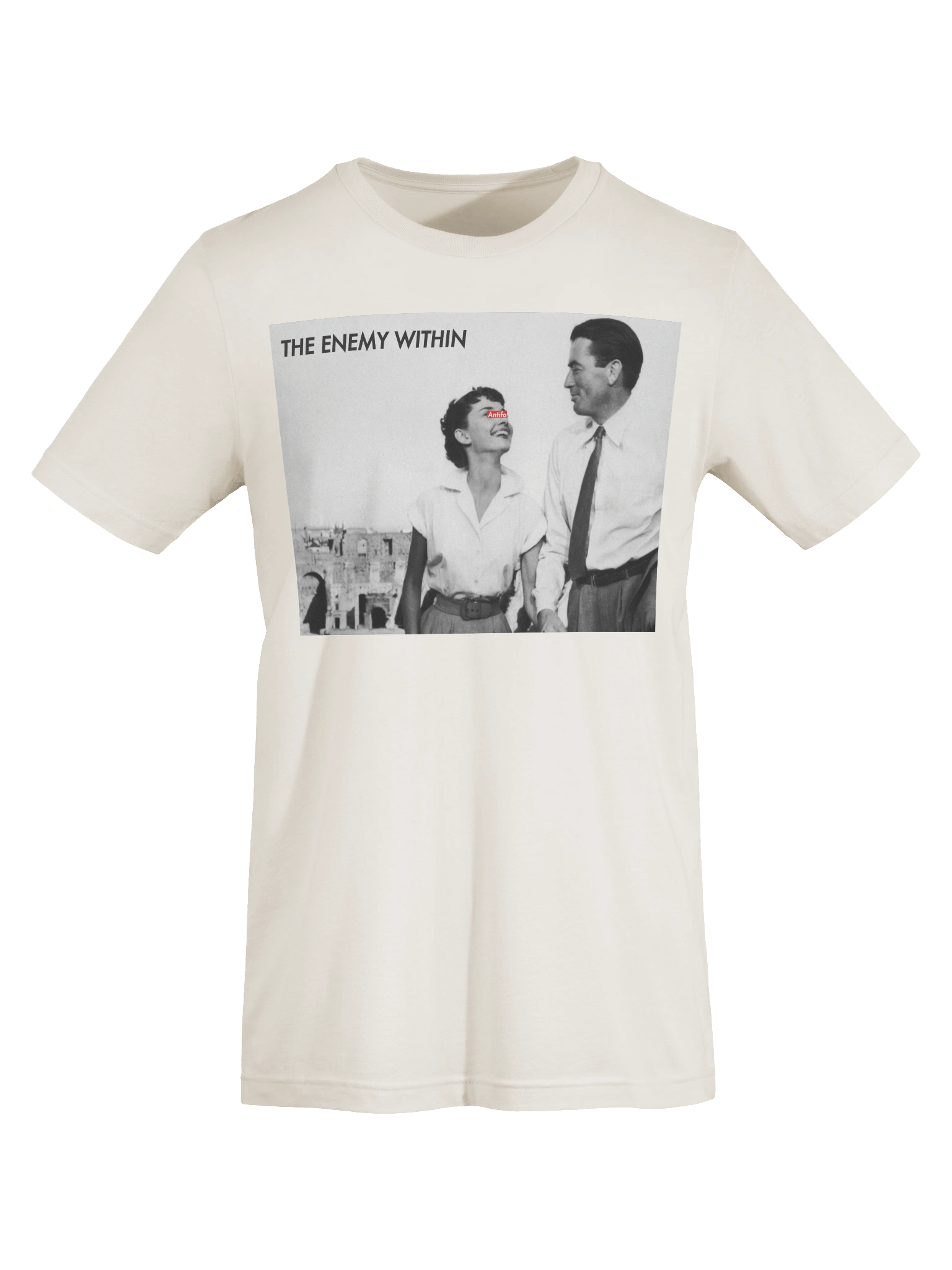 The Anti-Fascionista product image (4)