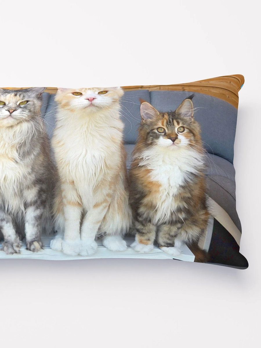 4 Generations - Pillow product image (4)