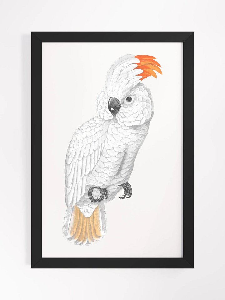 Ecotone Parrot Print Framed Art product image (1)