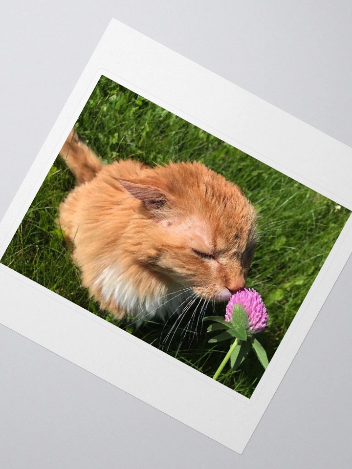 Flower Boy Sticker product image (2)