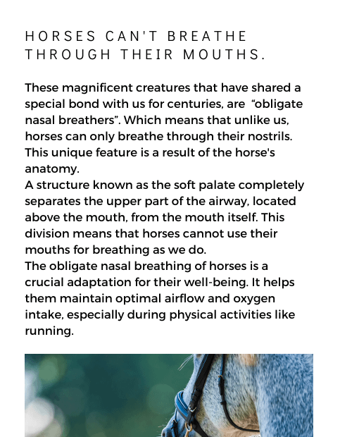 WILD WONDERS - FASCINATING ANIMAL FACTS product image (3)
