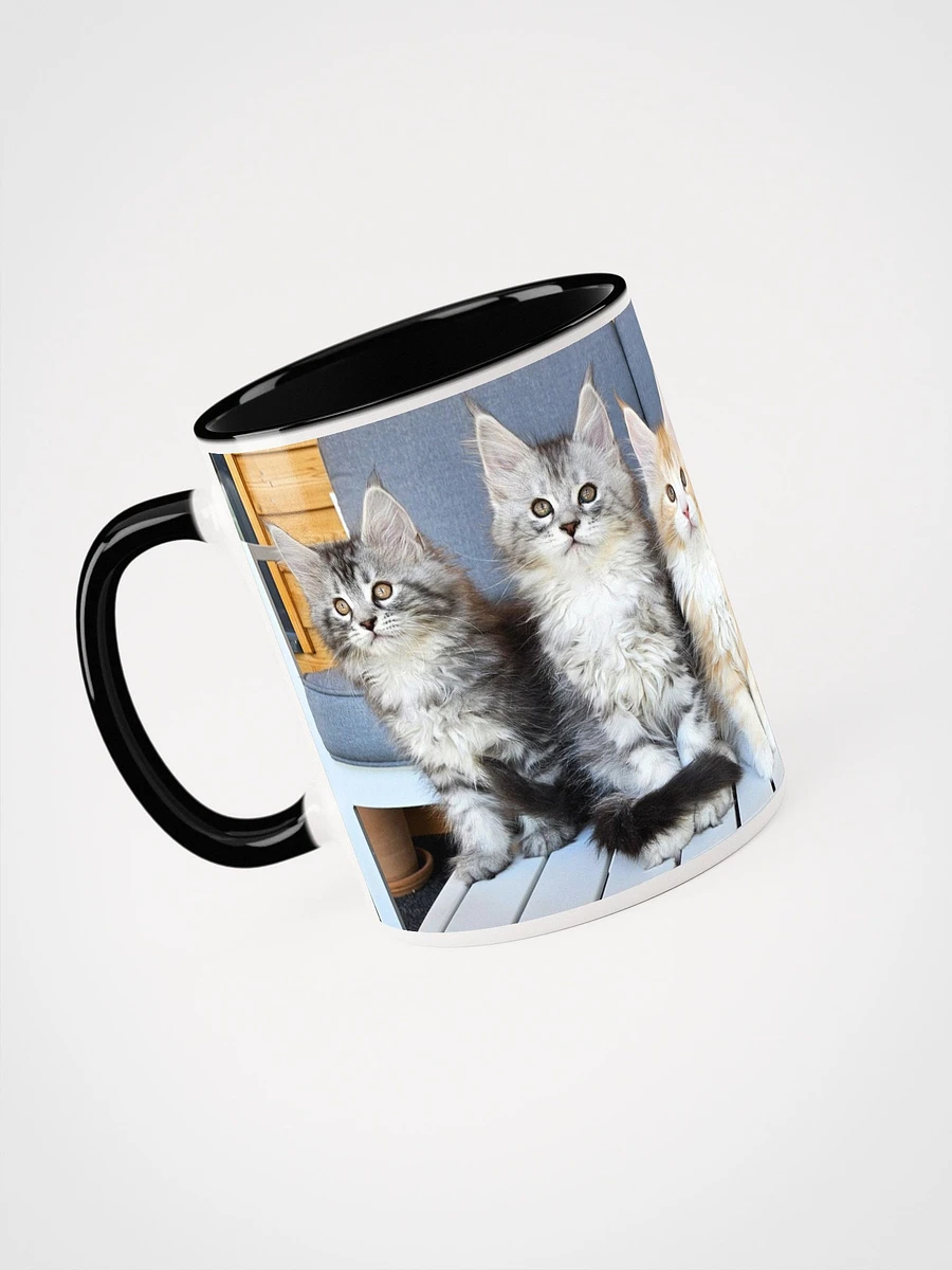Maine Coon Kittens Mug With Color product image (3)