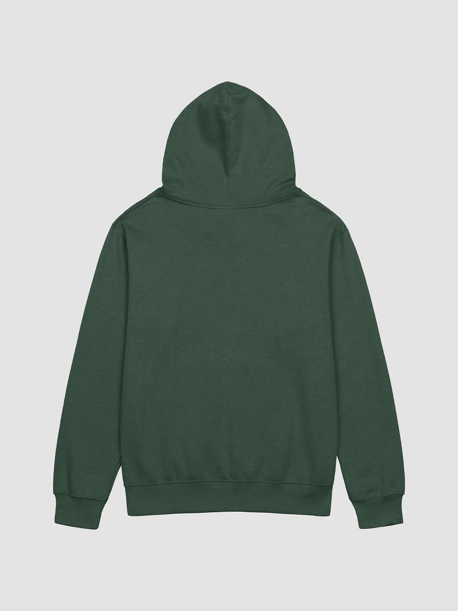 DR Circle Independent Trading Co. Midweight Hoodie product image (10)