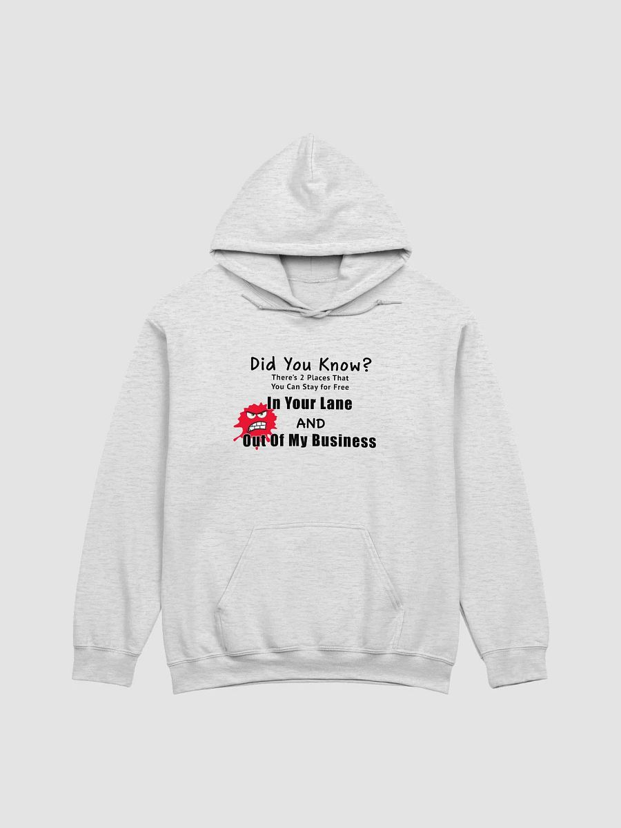 Did you Know Hoodie product image (1)