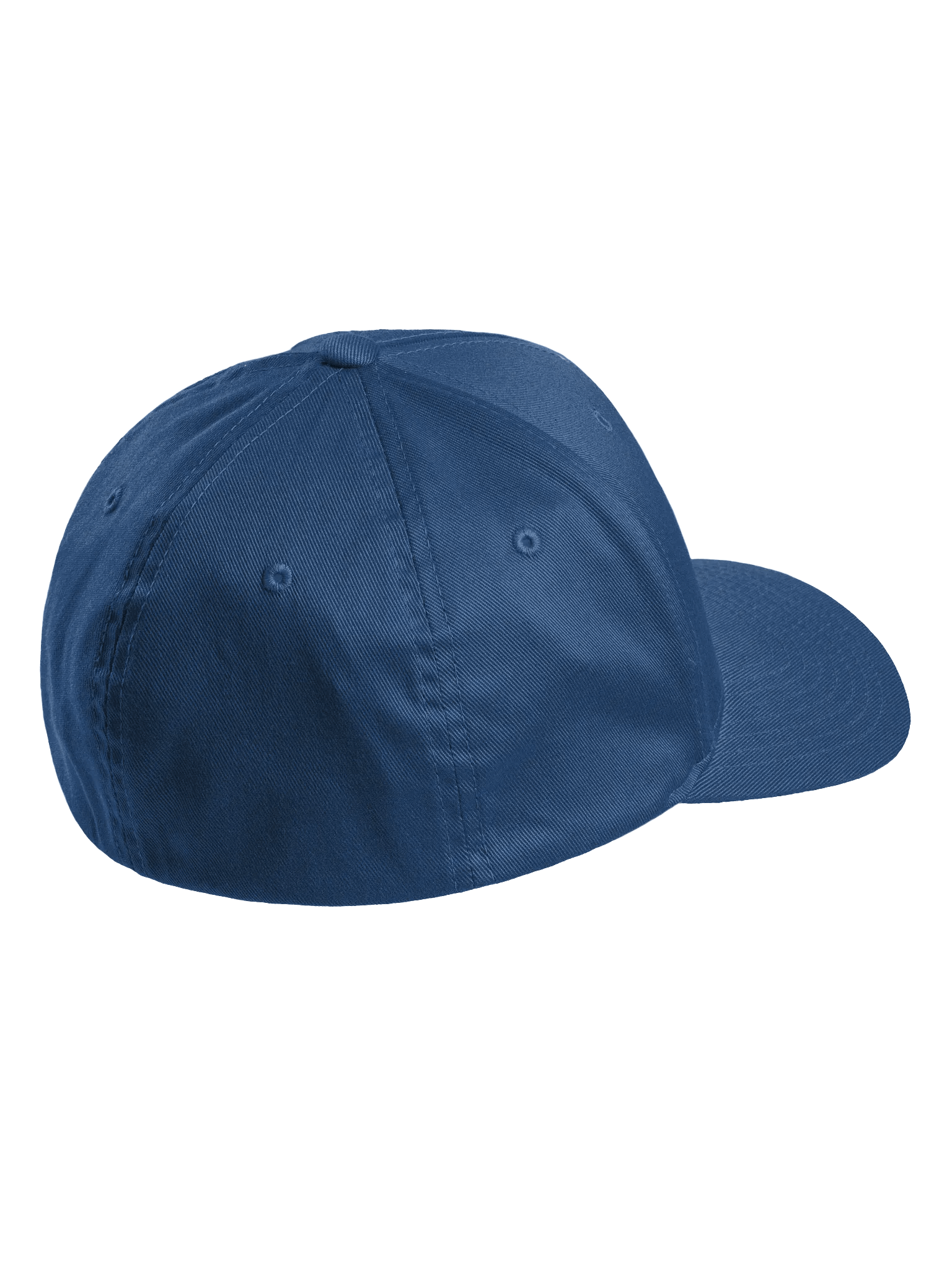 BinaryNine Fitted Cap product image (12)