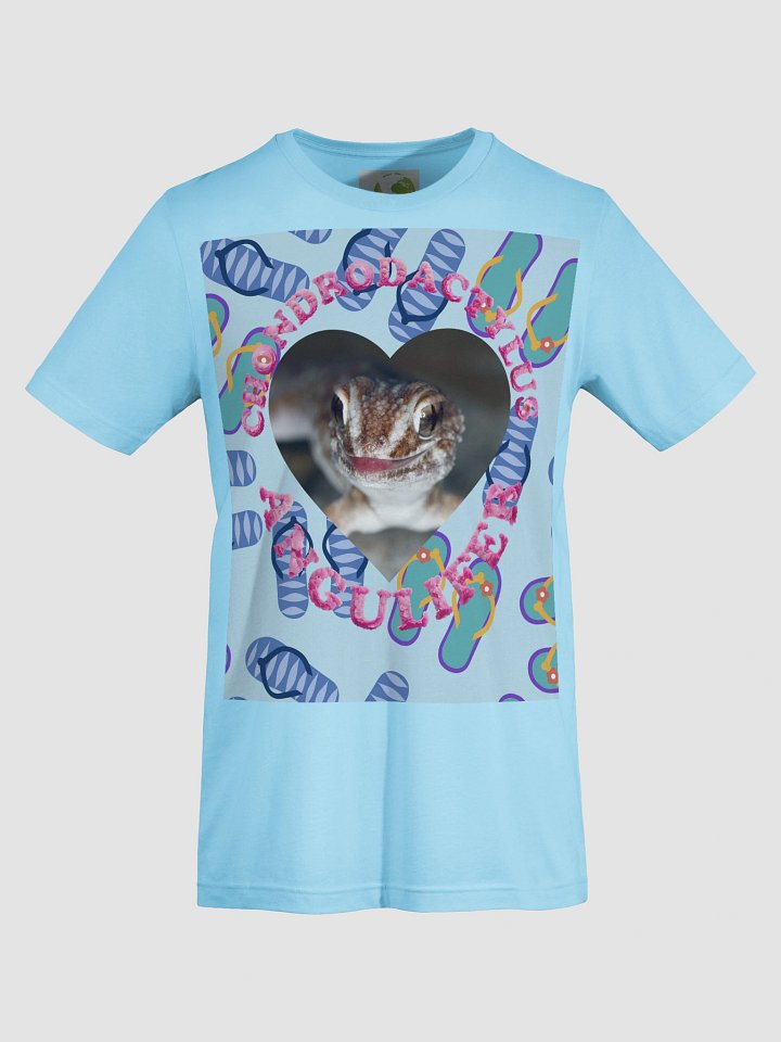 Ground Gecko Summer 11 product image (1)
