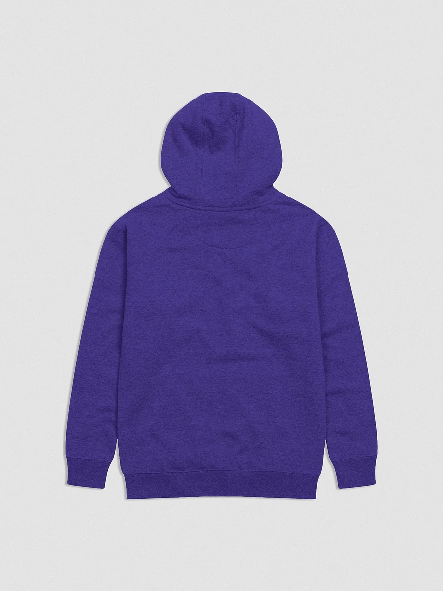 Narcissistic Embroidered Hoodie F&E1 product image (3)