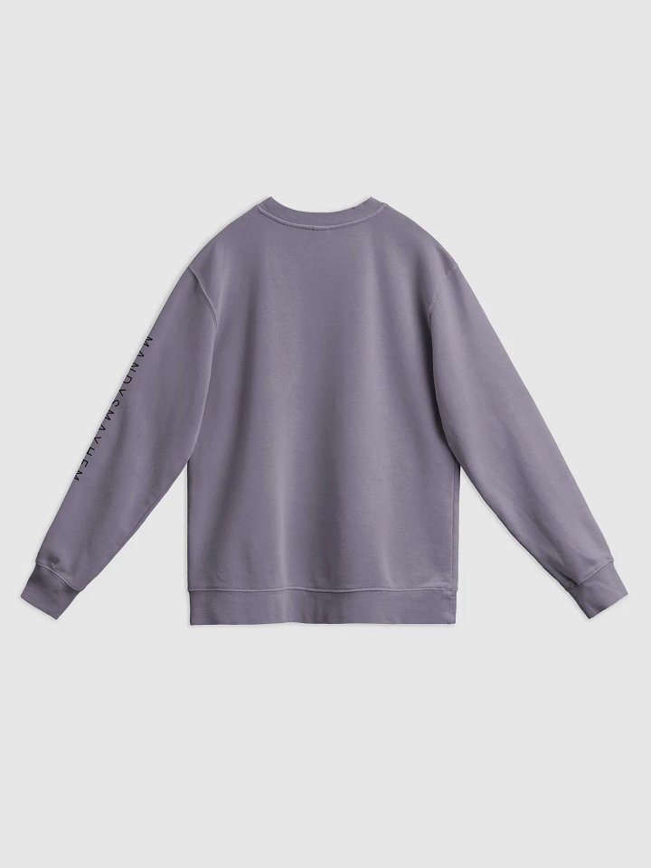 Hoarder Hoodie product image (2)