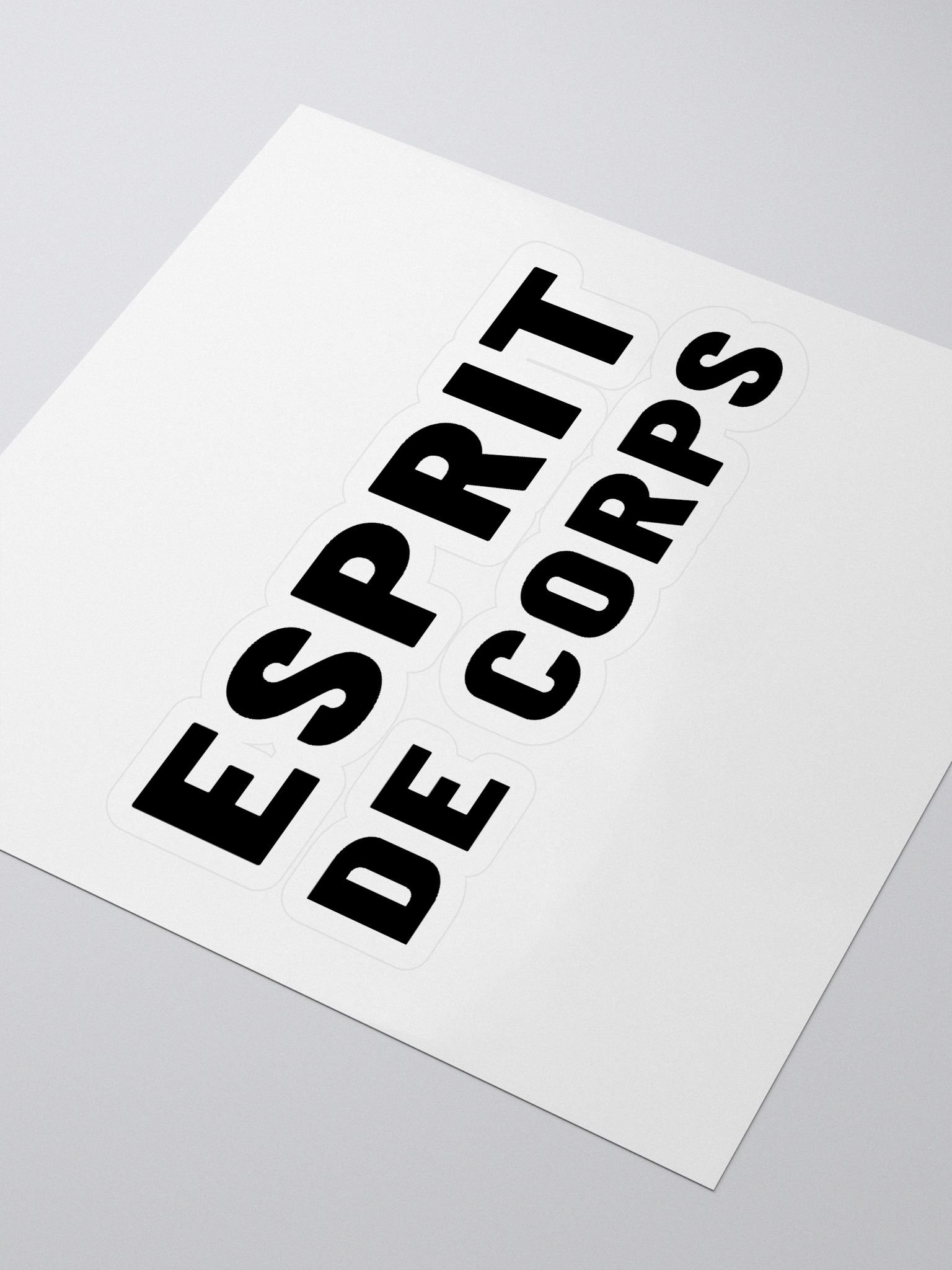 Esprit Logo Sticker product image (3)