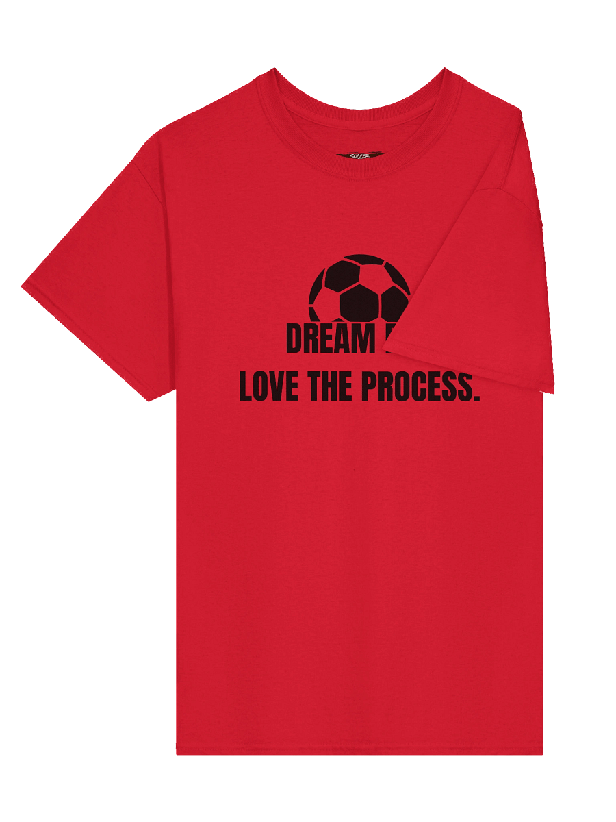 Dream Big. Love the Process. Swagger Tee product image (31)