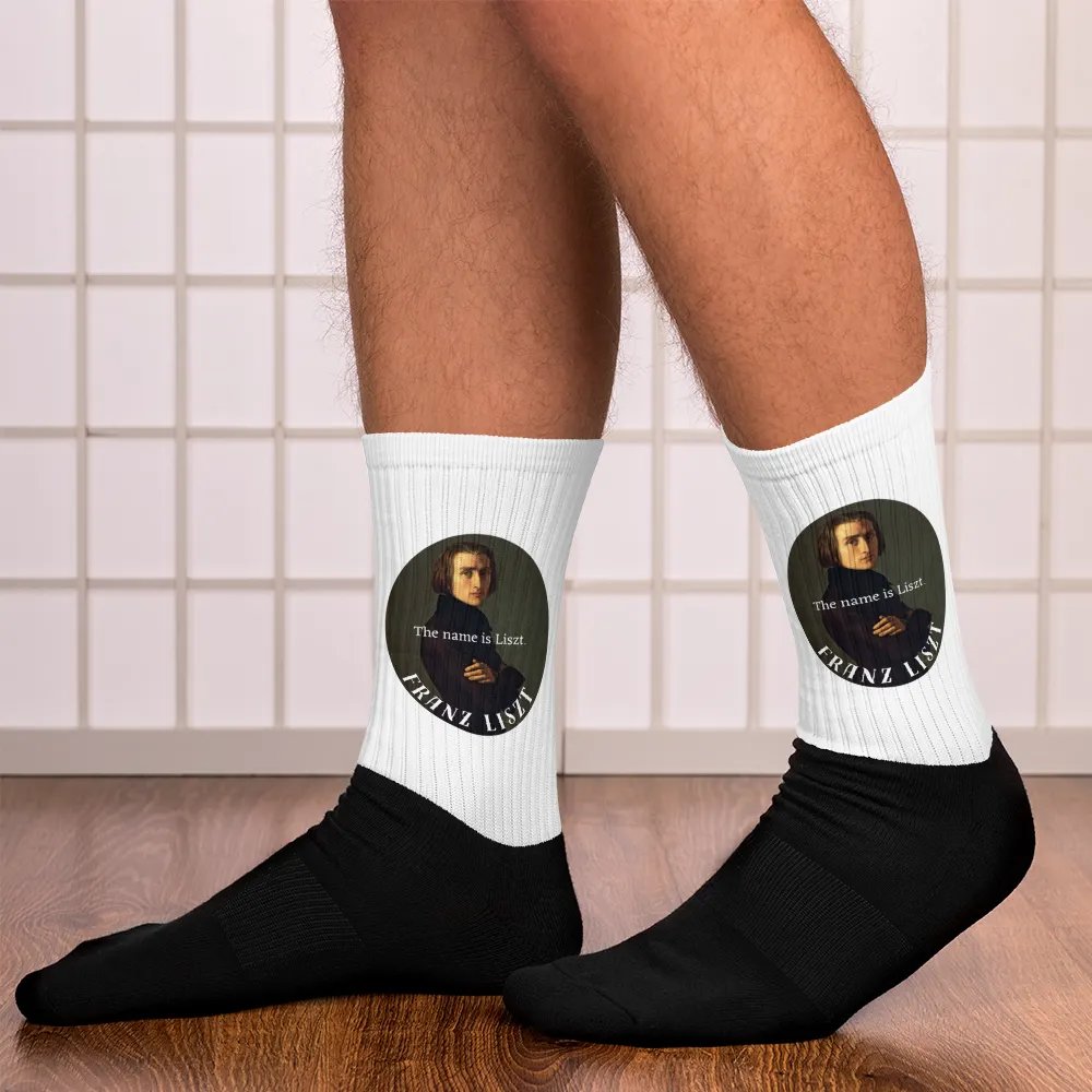 The Name is Liszt. Franz Liszt | Socks product image (12)