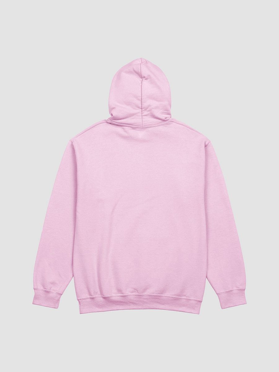 FUNNY *and* SENSITIVE (sm. design) classic hoodie product image (39)