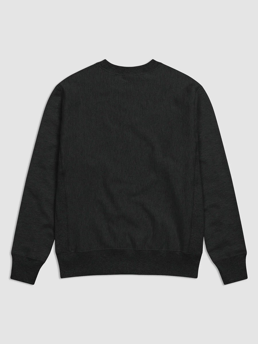 FT Champ product image (2)