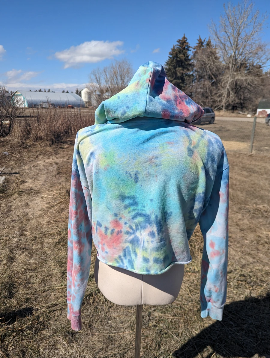 tie dyed jeeter croptop hoodie (1 of 1) product image (2)