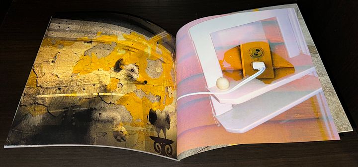 2022 - Zimmer Charging 3-1 Color Book product image (2)