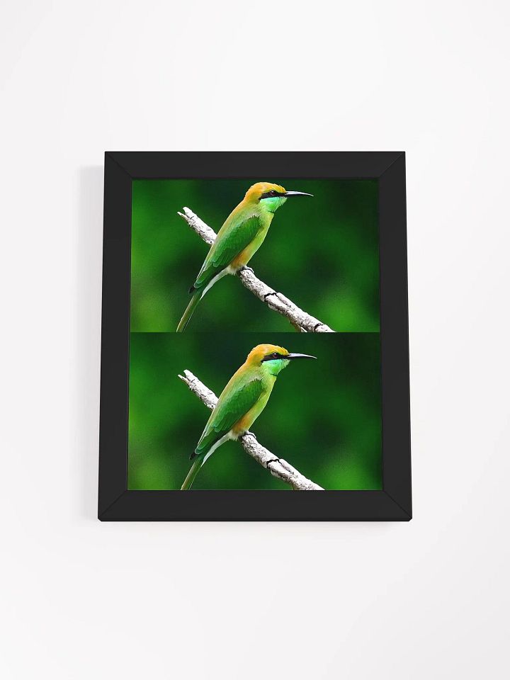 Framed High-Quality Matte BIrds Poster product image (2)