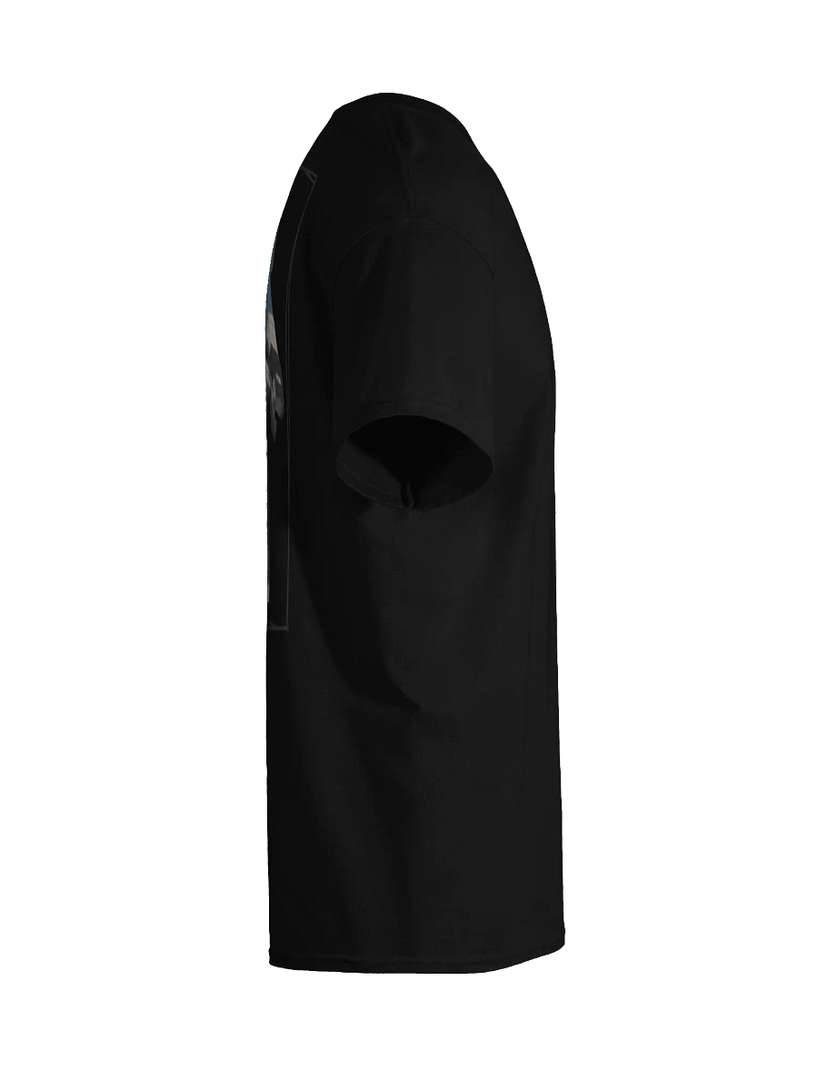The Epic AroAce T-Shirt! product image (38)