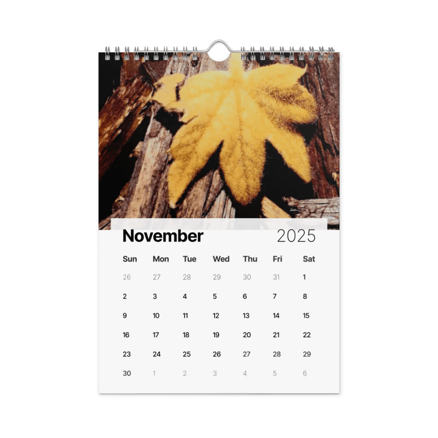 2025 Calendar product image (11)