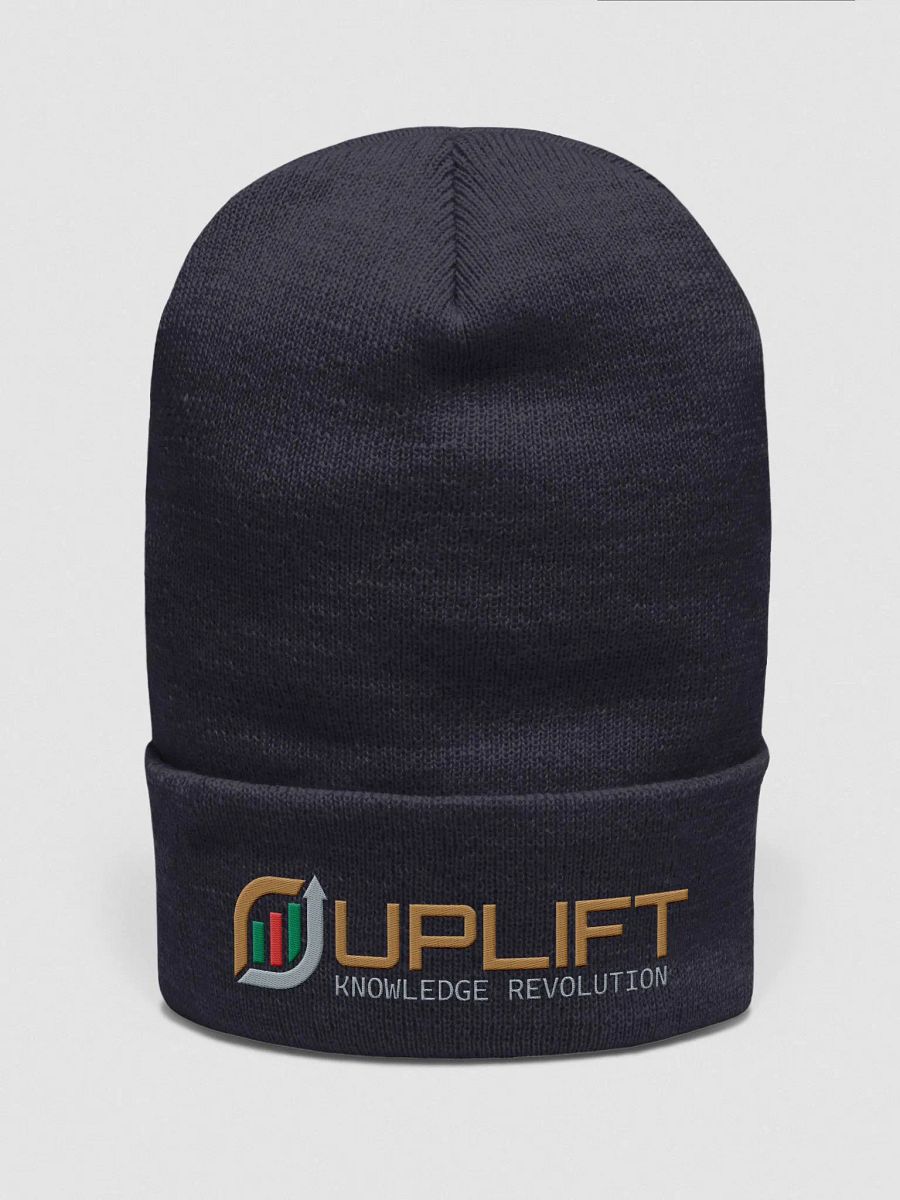 UpLift Beanie product image (1)