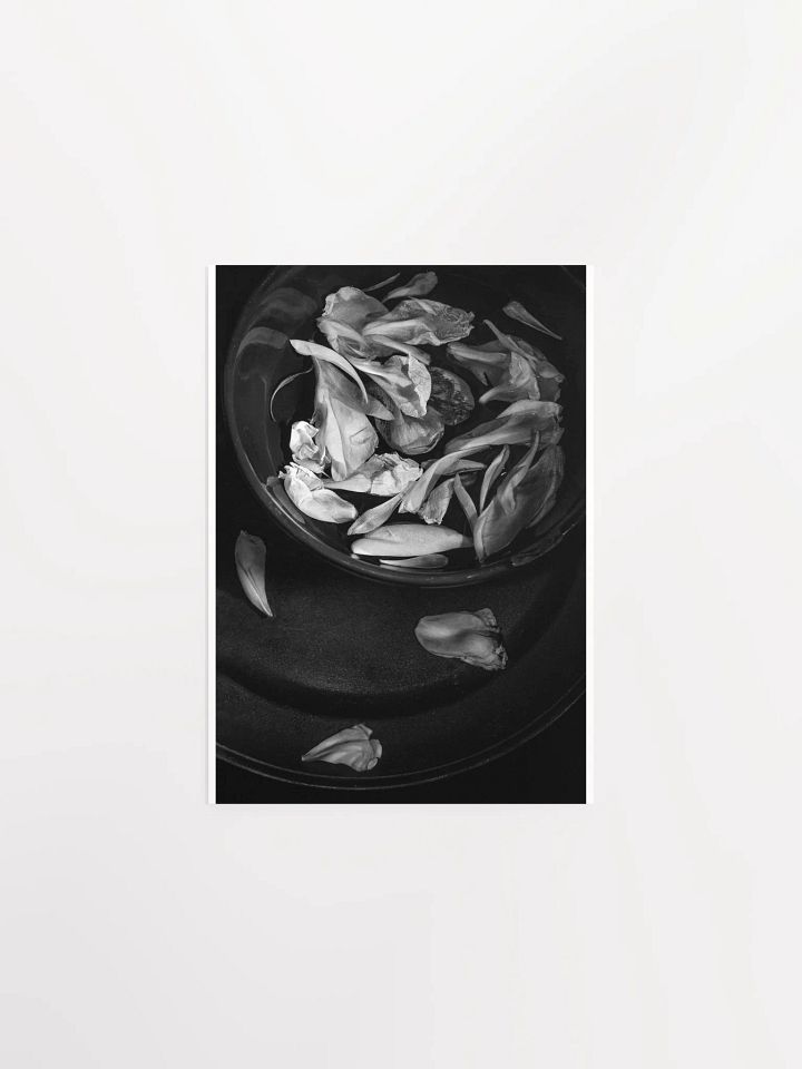 Floating Petals - Print product image (2)