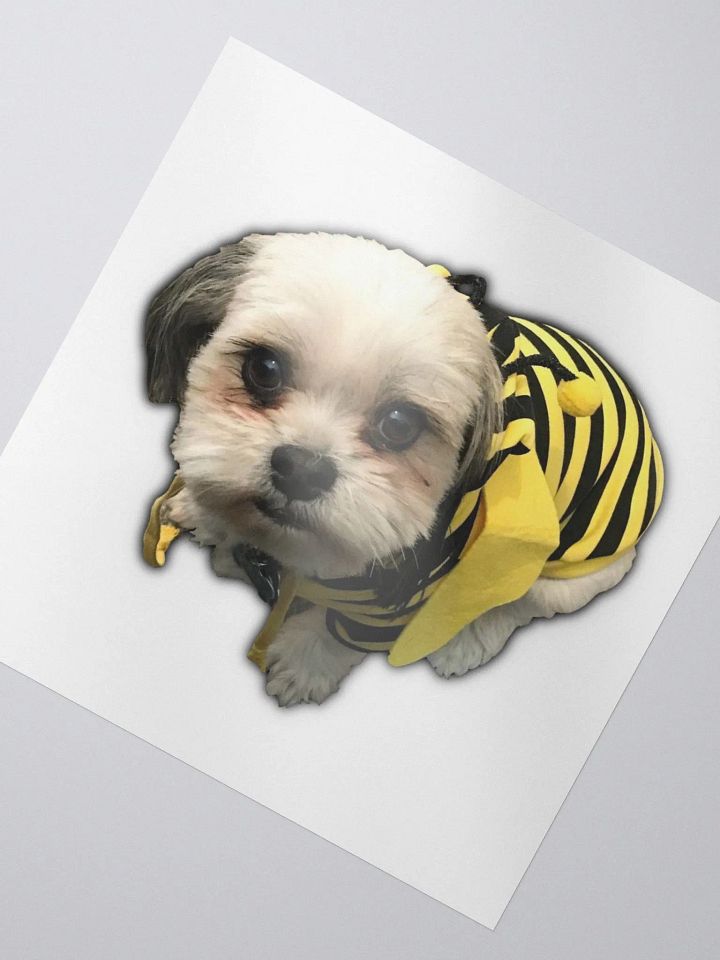 BeeBug product image (2)
