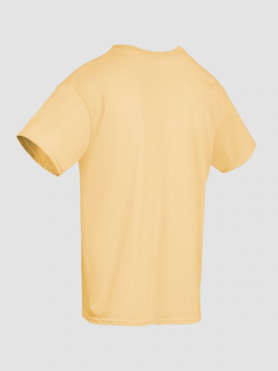 Healthy Wealthy Vegetarian & Vegan T-Shirt product image (10)