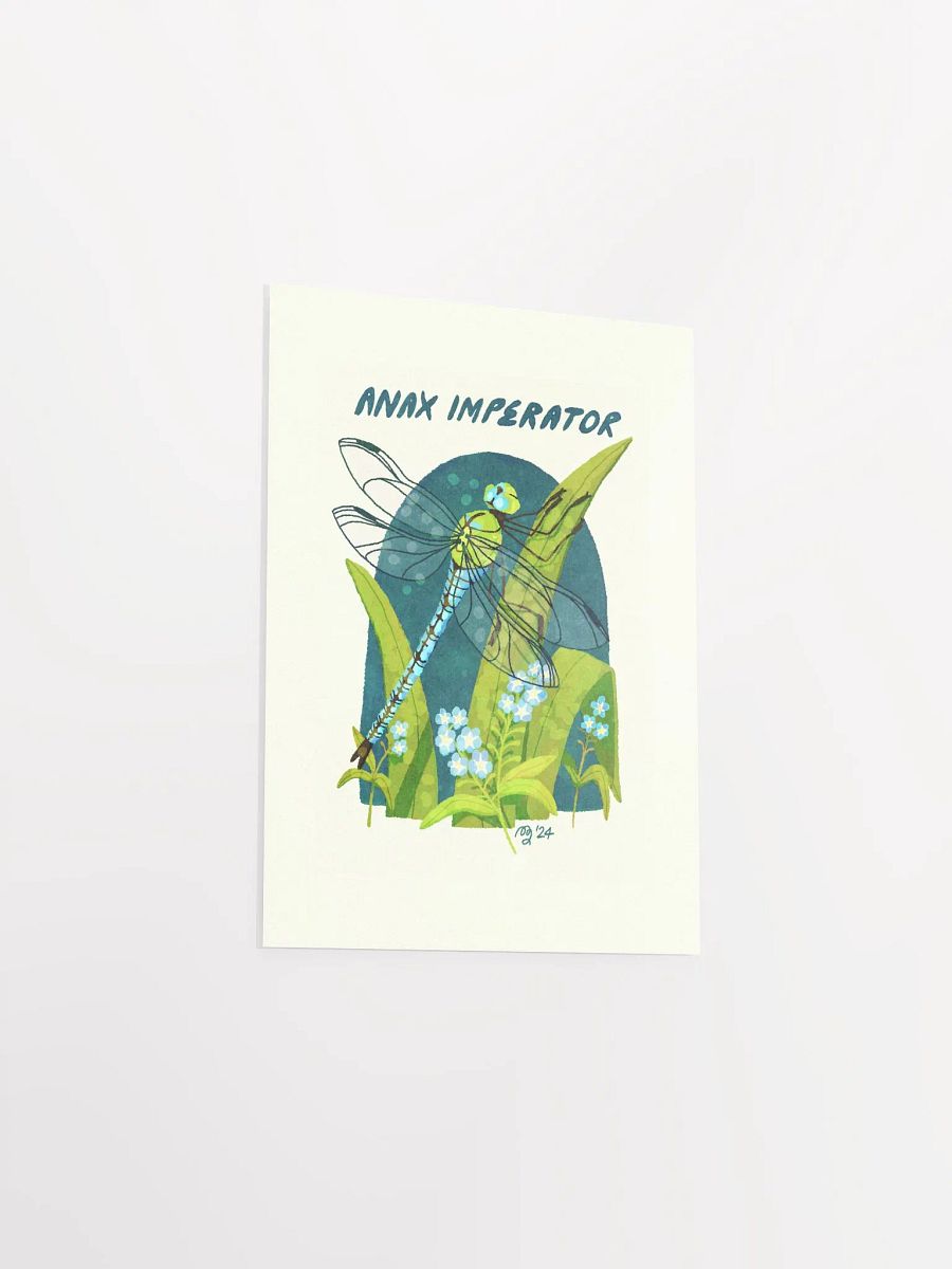 Emperor Dragonfly Print product image (5)