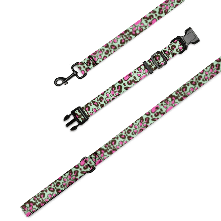 Vibrant Paws: Customizable Pet Collar & Leash Set product image (1)