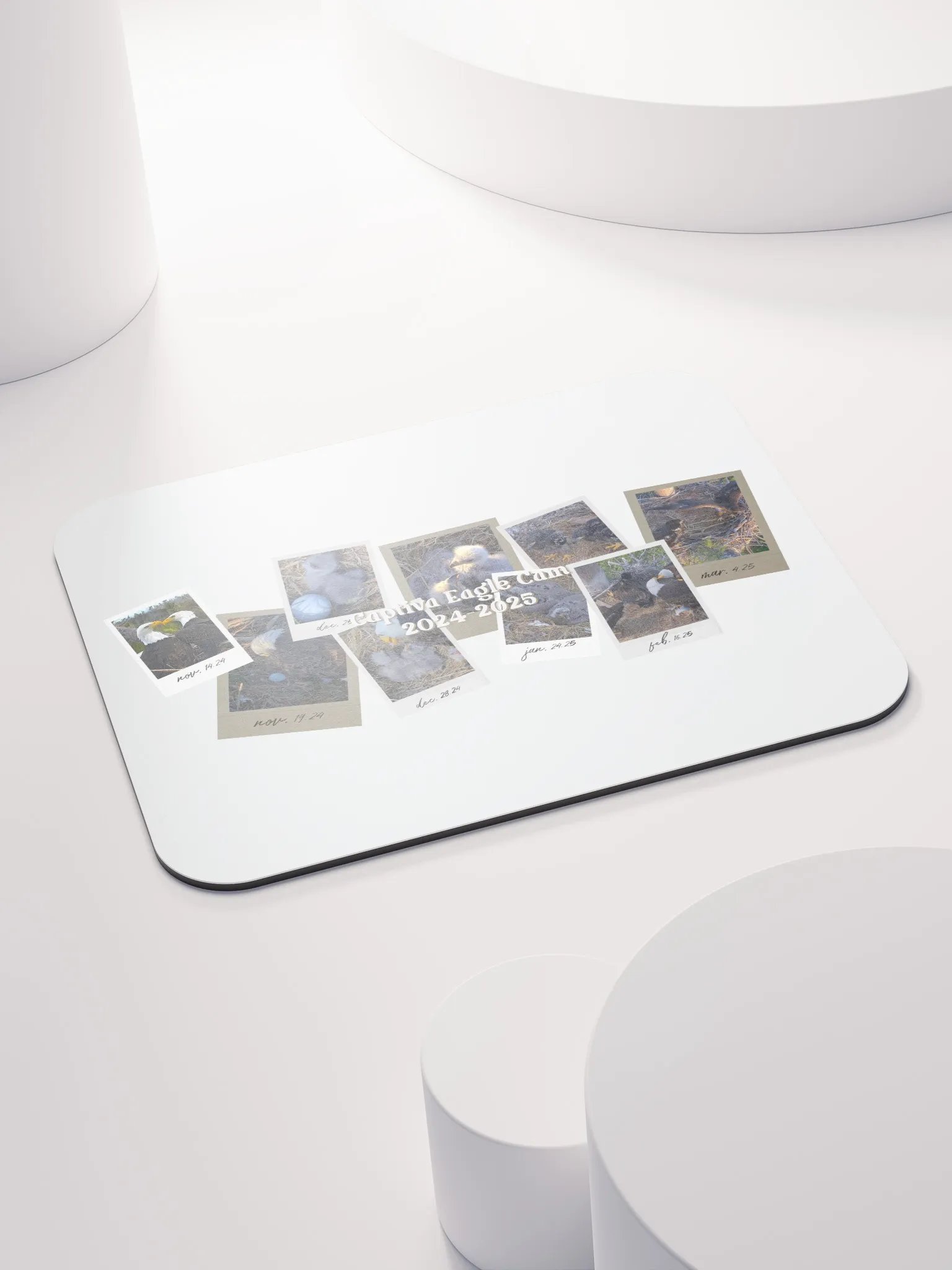Journey | Mouse Pad | Captiva Eagle Cam 2024-2025 product image (3)