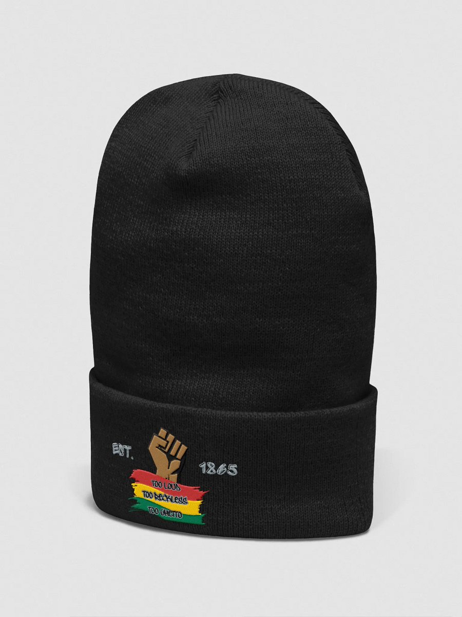 TOO LOUD TOO RECKLES TOO GHETTO BEANIE product image (2)