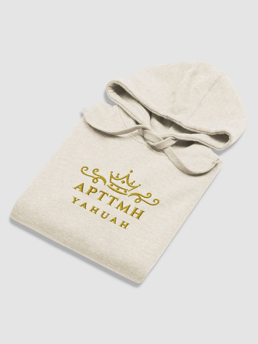 APTTMH Premium Hoodie product image (1)