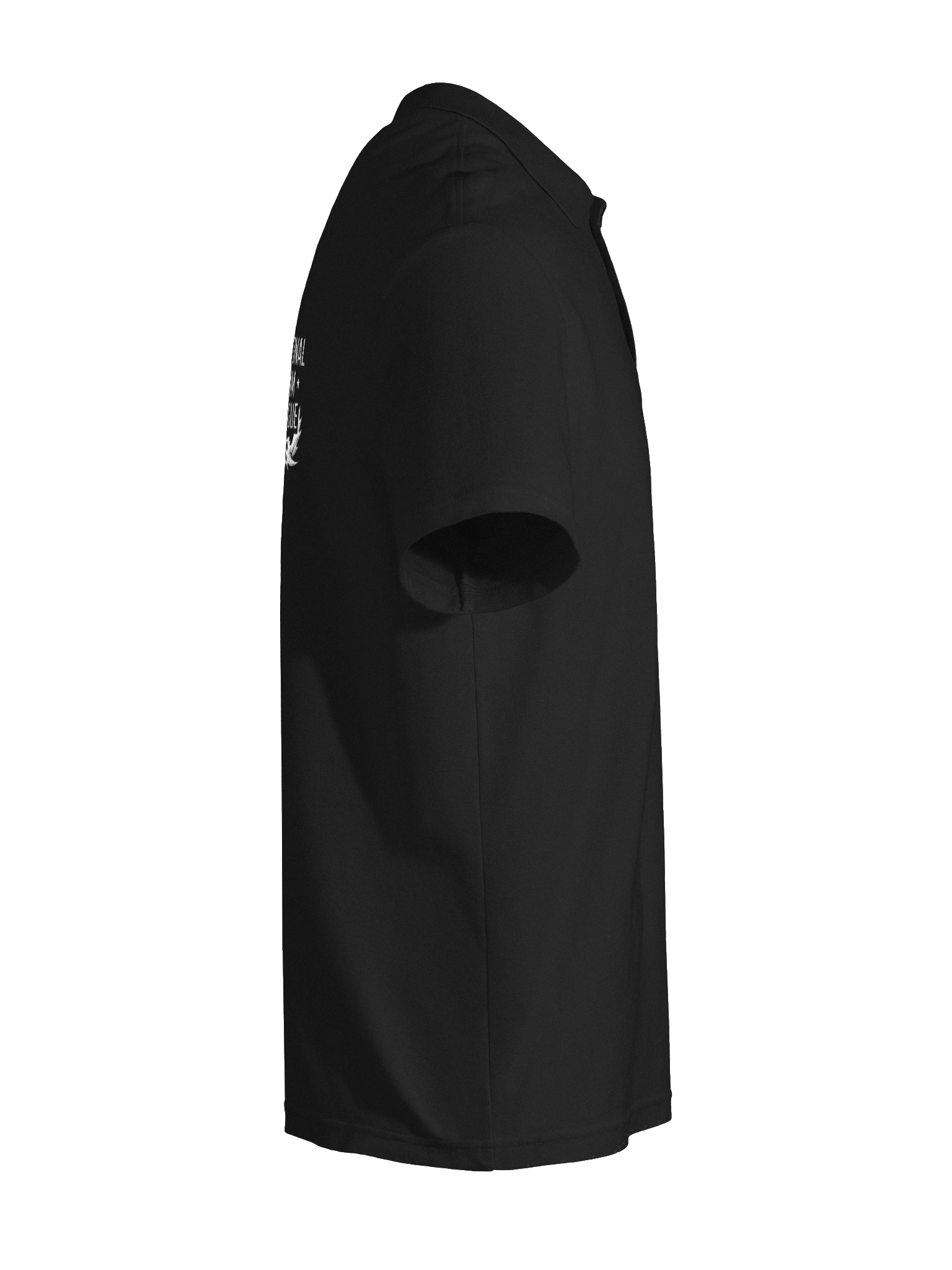 IPSL Back Polo product image (28)