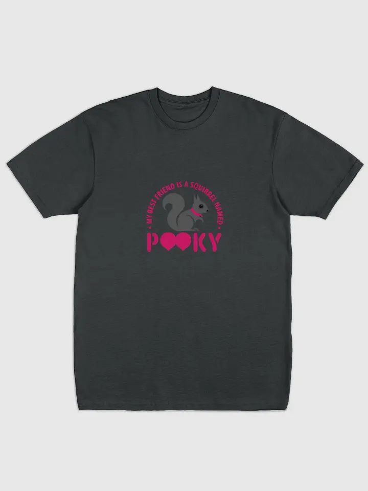 Super Comfy Tee: My Best Friend is a Squirrel Named Pooky product image (1)