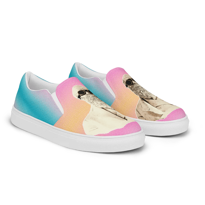 Darwinism Women's Slip-On Canvas Shoes product image (2)