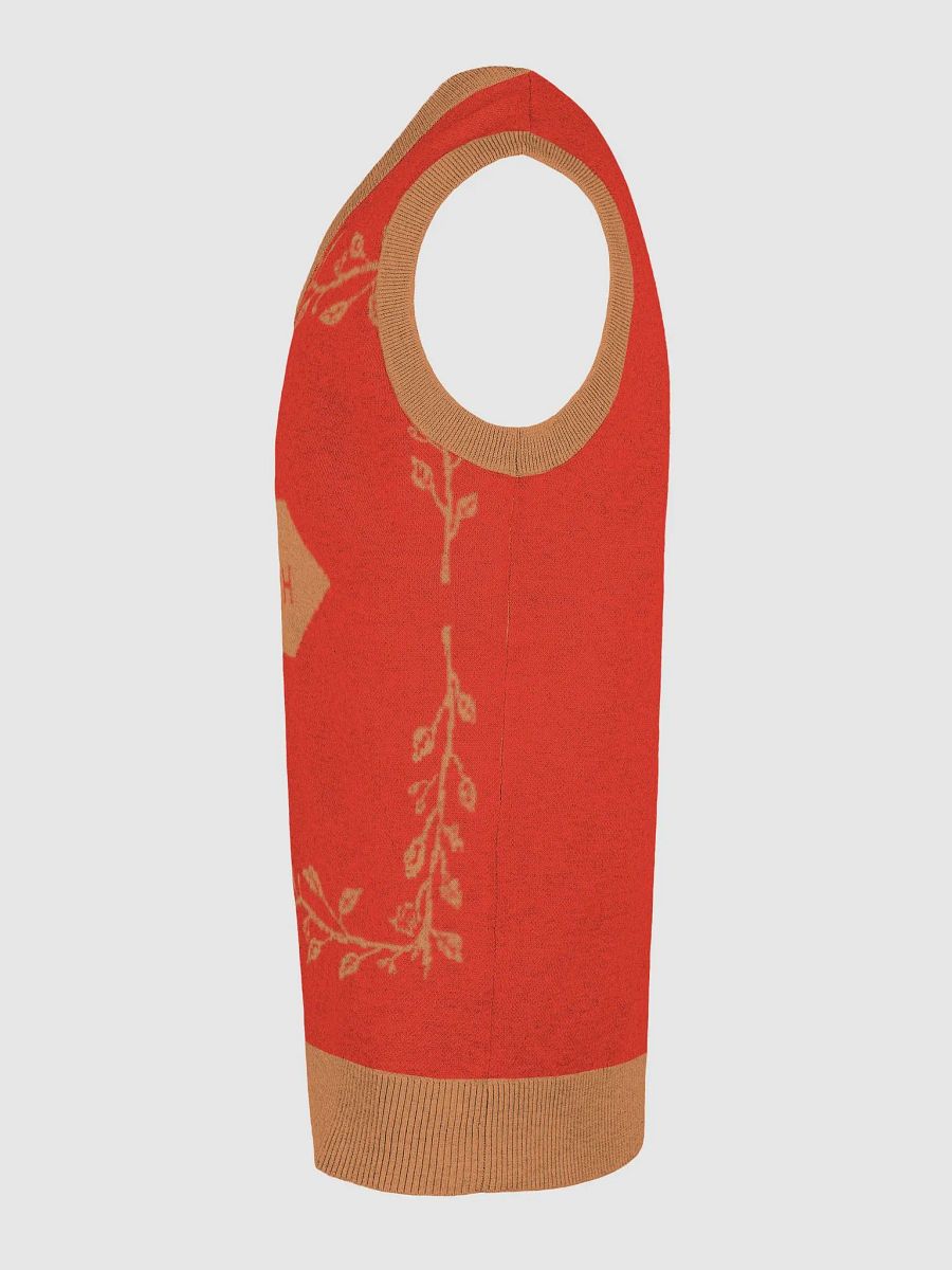 Red Holiday Vest product image (27)