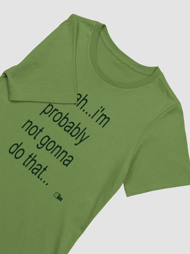 Backseater Summer Tee (Ladies) product image (2)