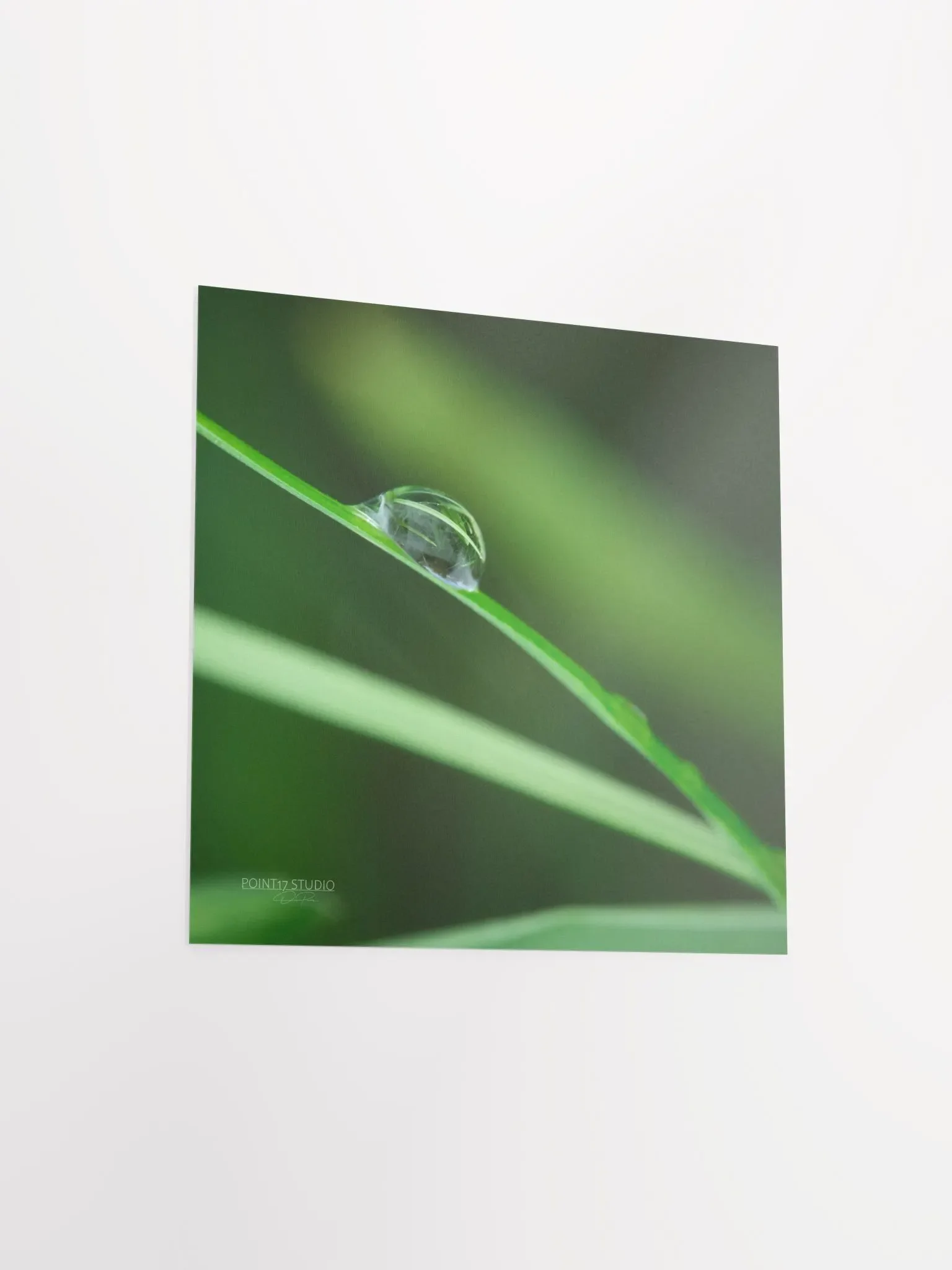 Dew Gems #6 - Print product image (8)